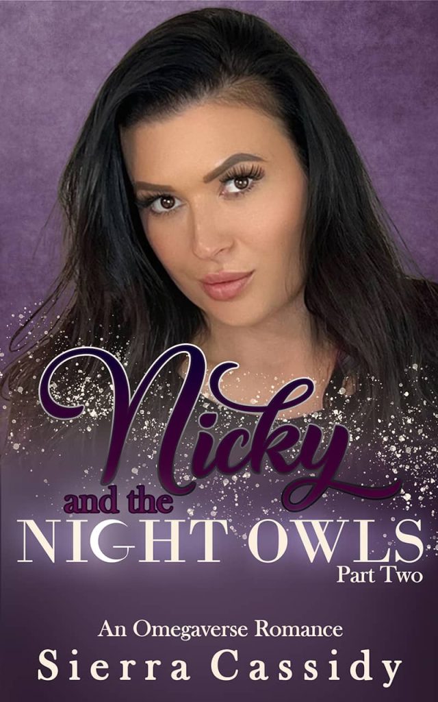 Nicky and the Night Owls Book 2 Cover
